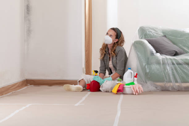 Reliable Black Mold Remediation contractor in Nunica, MI by Car Mold Remediation